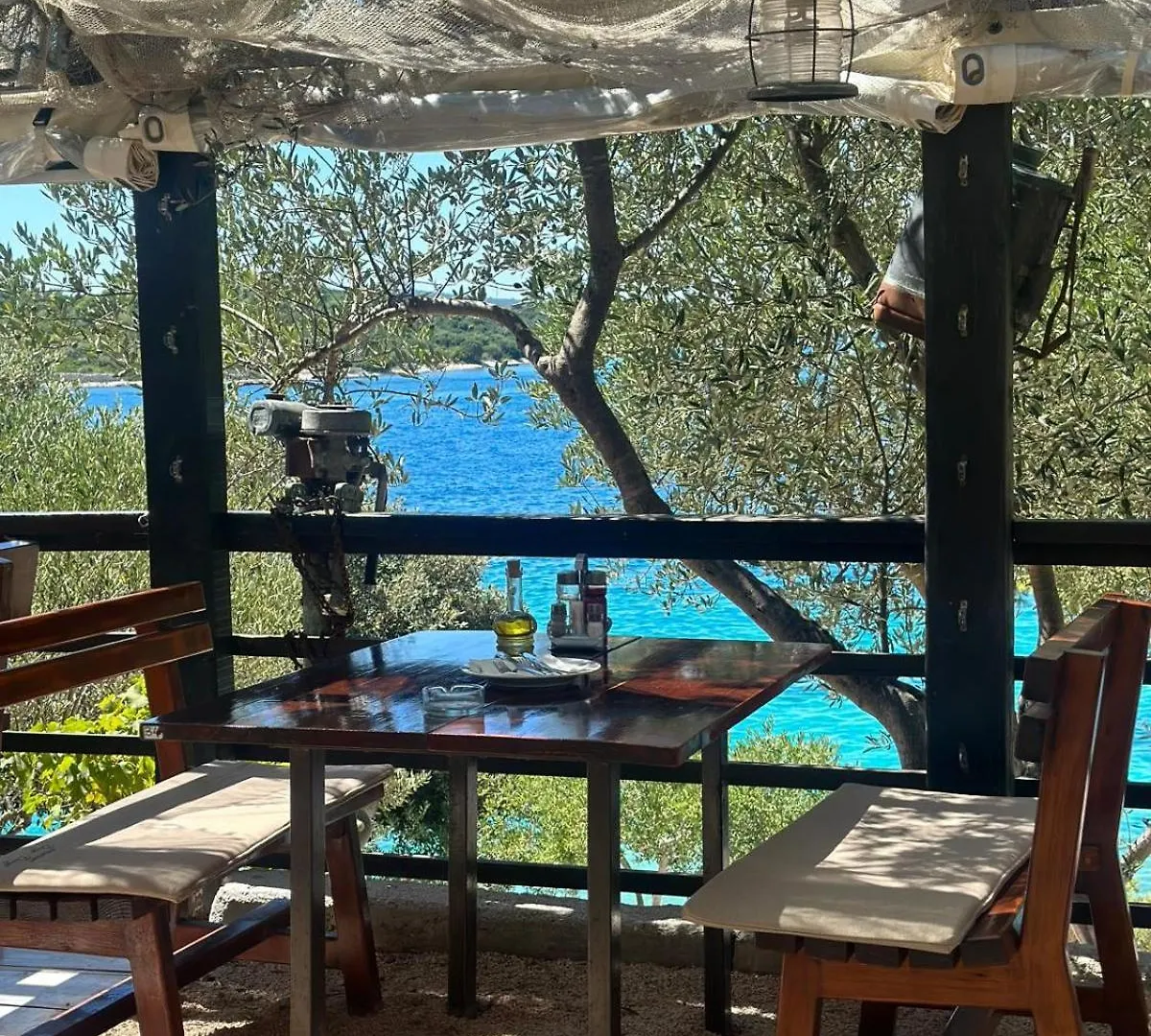 Medusalina-Bora Trogir