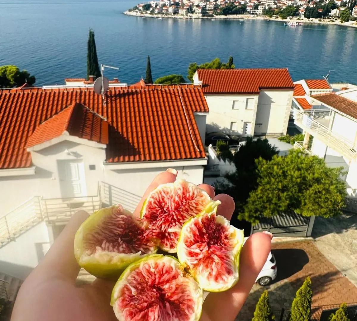 Medusalina-Bora Trogir 0*,